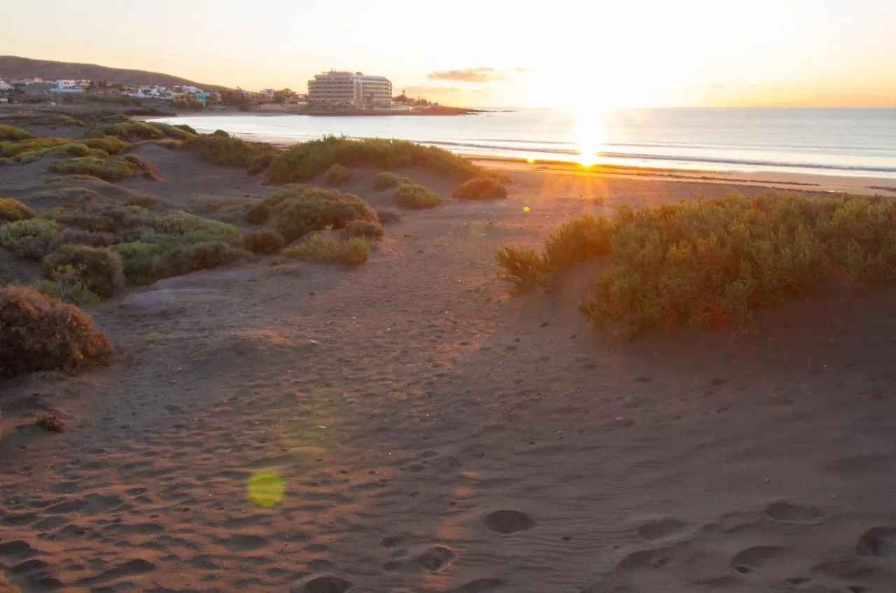 Medano4You Pearl Flavour Holiday Home El Medano  Spain